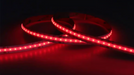COB LED Tape - 24v RGBW - SRND Store